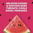 HALLS Minis Watermelon Flavor Sugar Free Cough Drops, 24 Drops