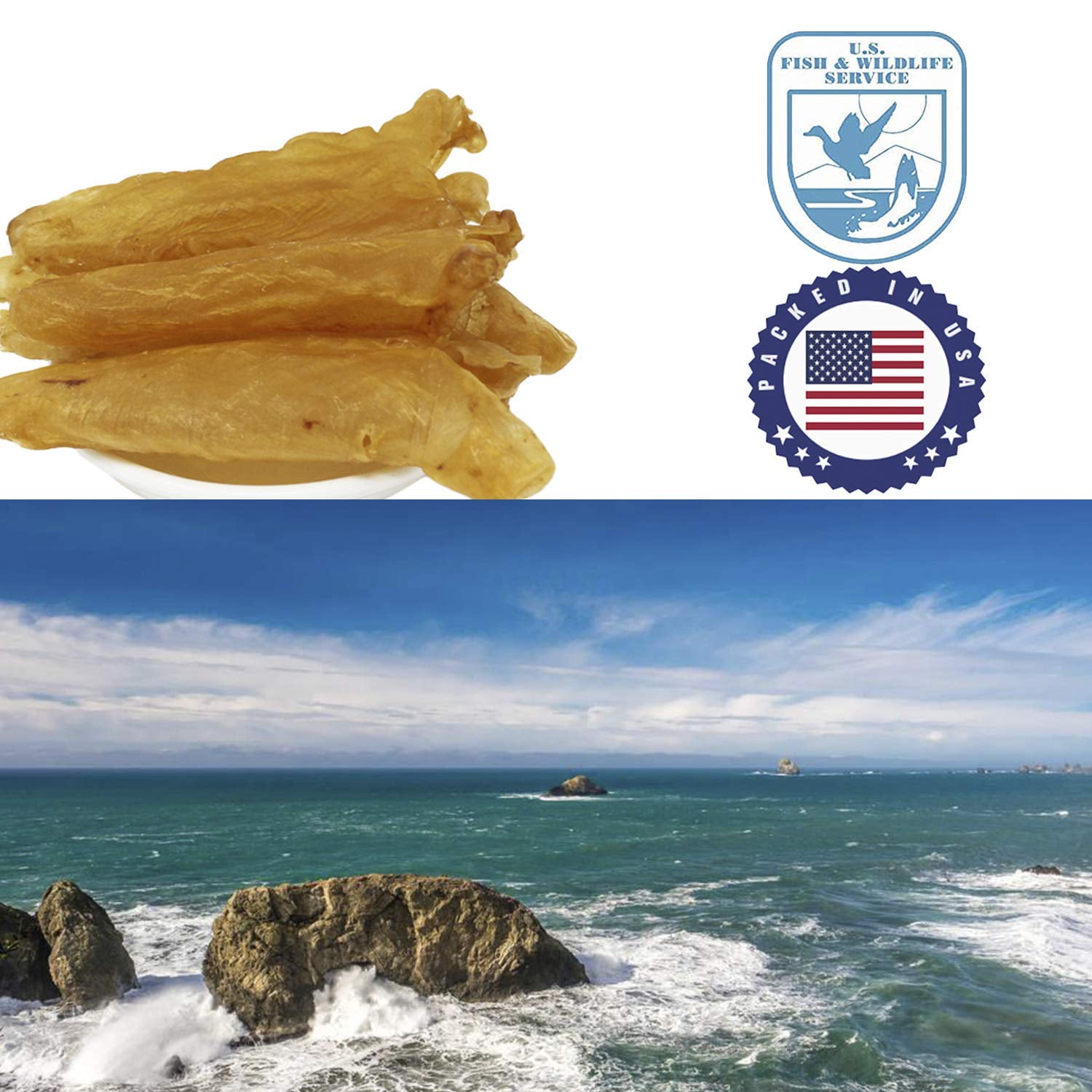 DABC OAK LAND Premium South African Dried Fish Maw AAA Grade Fish Glue,Rich in Collagen Dried Seafood Fishs Maw Roll Natural Sun Dried AAA Large 8oz/bag