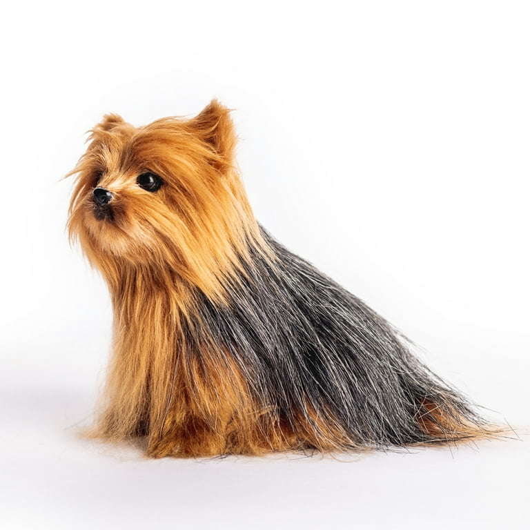 American girl yorkie dog hotsell