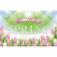 thumbnail image 1 of Backdrop Banner for Hello Spring Colorful Flower Butterfly Tulip Party Decorations for Spring Break Photography Background for Spring Easter Party Supplies Decors for Home Office, 1 of 5
