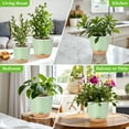 thumbnail image 4 of QCQHDU 7.2 Inch Self Watering Planters for Indoor Plants with Bottom Watering,2Pack Flower Plant Pots for Outdoor with Drainage, Durable Plastic planters Pots(Green), 4 of 6