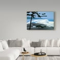 thumbnail image 3 of Trademark Fine Art 'Wickanninish' Canvas Art by Ron Parker, 3 of 3