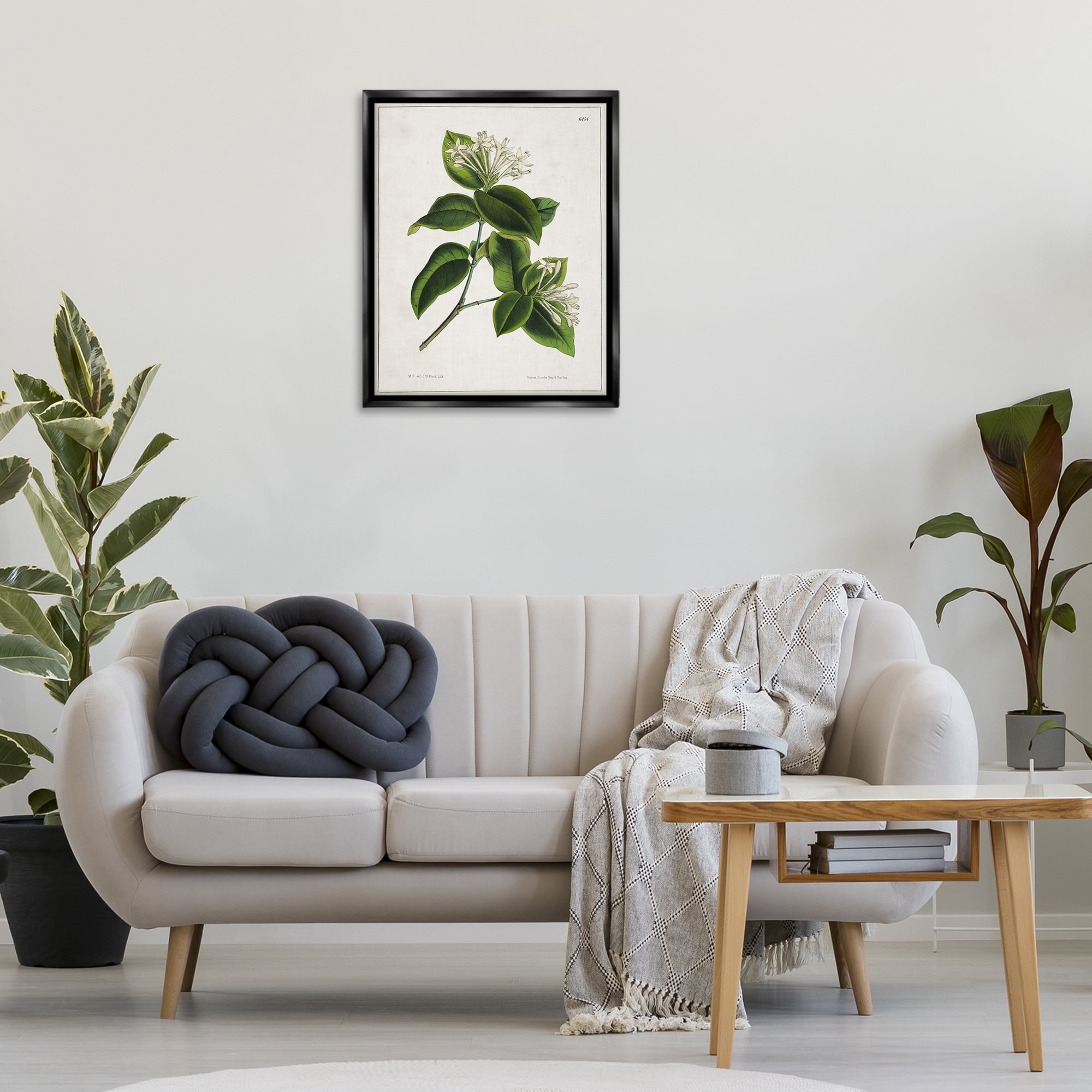Stupell Industries Blooming Vintage Study Plants & Flowers Painting Black Floater Framed Canvas Art Print Wall Art, 25 x 31