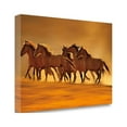 thumbnail image 2 of Tangletown Fine Art Night Runners by Lisa Dearing Poster Frame - 17 x 25 x 1.5 in., 2 of 3