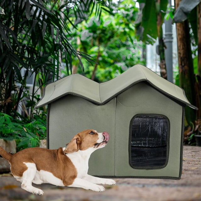 Casa para gatos, tienda de campaña, refugio plegable para mascotas, casa para , casa para perros para gatitos o perros pequeños, patio Verde Yinane Casas para gatos