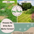 Dog Rocks Dog Pee MMF7 Grass Neutralizer for Green Grass in 35 Weeks