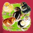 thumbnail image 3 of CafePress - Five Chicks Dark T Shirt - Men's Classic Graphic Cotton T-Shirt, 3 of 4