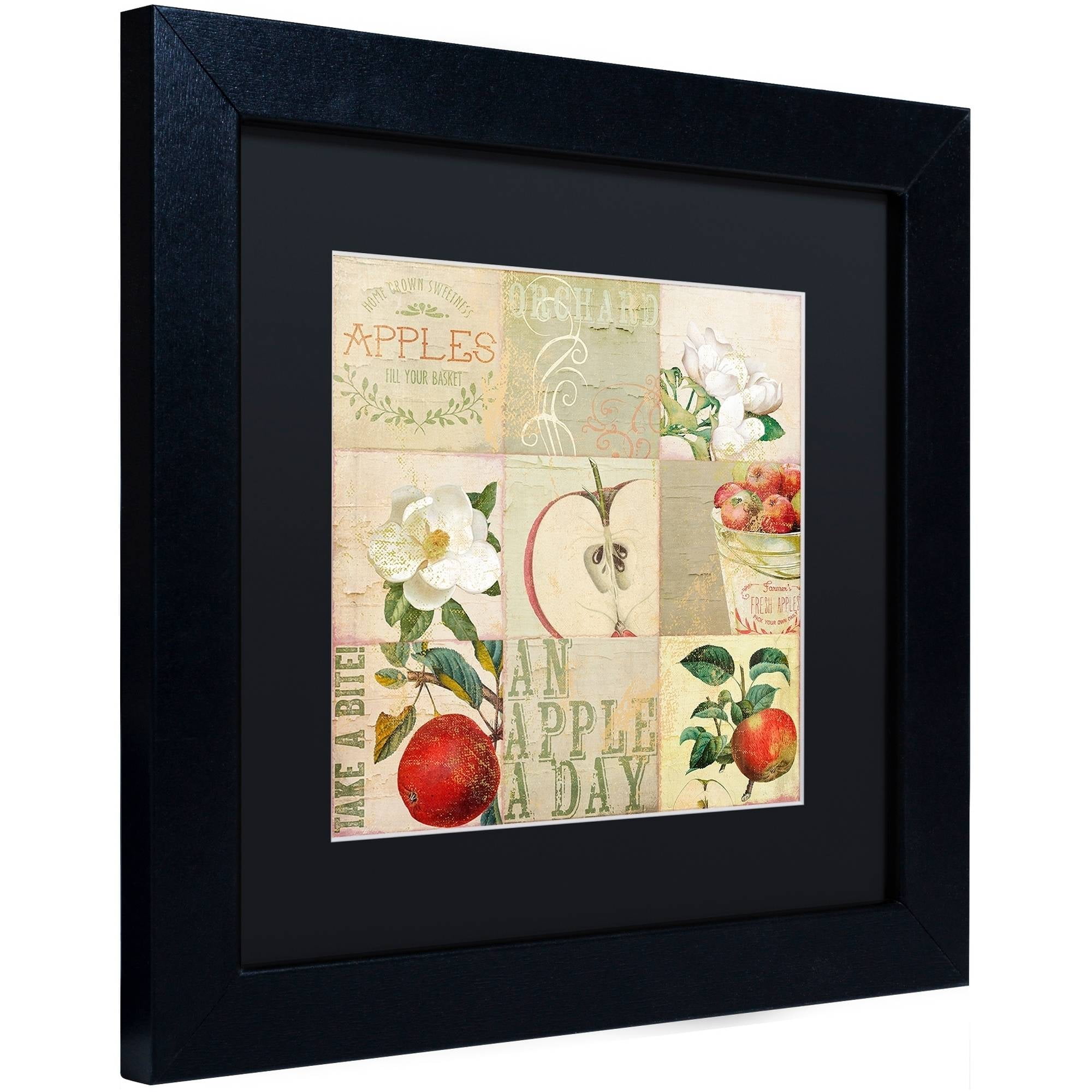 Trademark Fine Art "Apple Blossoms III" Canvas Art by Color Bakery Black Matte, Black Frame