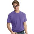thumbnail image 1 of Hanes Nano-T Men`s T-shirt, L, Purple, 1 of 1