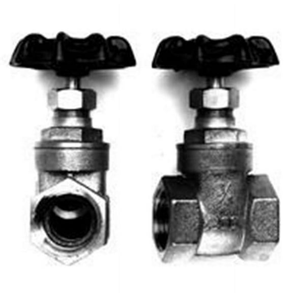 American Granby Inc GV200-50T 0.5 in. Fpt Brass Gate Valve