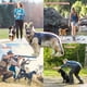 thumbnail image 5 of Arnés táctico NQ para perros grandes y medianos militar antitirones con asa ajustable verde S, 5 of 5