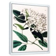 thumbnail image 3 of Designart 'Ancient Plant Life XXIV' Traditional Framed Canvas Wall Art Print, 3 of 5