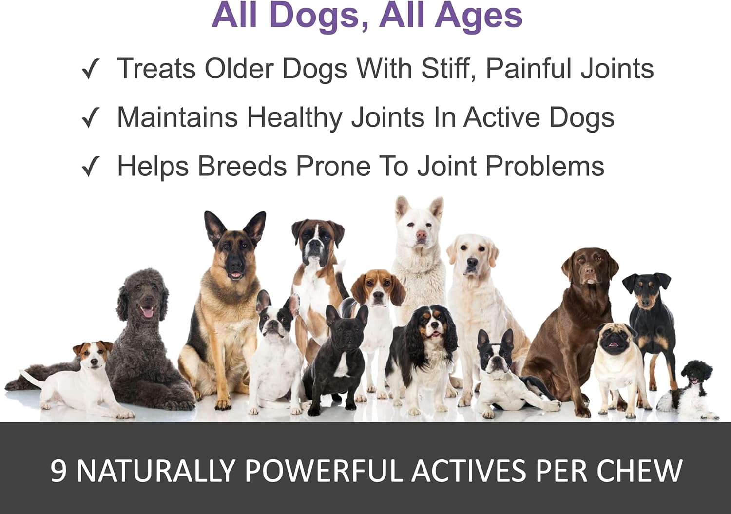 Finest for Pets Glucosamine Supplement Tablets for Dogs, Chicken Flavor, 12.7 oz Bottle