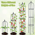 thumbnail image 4 of BAYUELSWU Garden Obelisk Trellis for Climbing Plants Outdoor, 6.2 FT Garden Obelisk Trellis Lightweight Tall Tower Trellis Stand Support for Vines Clematiss Rose Potted Plants, 4 of 8