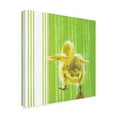 thumbnail image 2 of Trademark Fine Art 'Animal Baby IV' Canvas Art by Jennifer Rutledge, 2 of 4