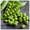 thumbnail image 4 of Everwilde Farms - 100 Early Frosty Garden Pea Seeds - Gold Vault Jumbo Bulk Seed Packet, 4 of 5