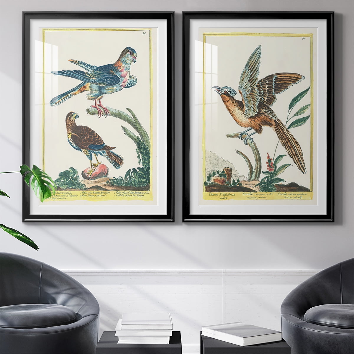 Wexford Home Pastel Birds V Premium Framed Print, 18.5" x 24.5" - Ready to Hang, Black (Set of 2)