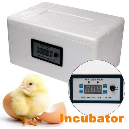 Egg incubator for sale walmart