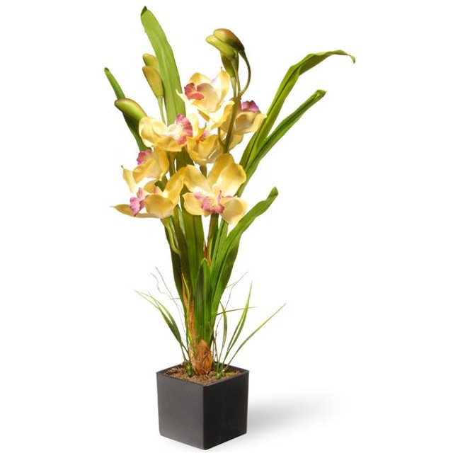 National Tree NF36-5283S-1 Potted Yellow Orchid Flowers with Black Square Pot Base