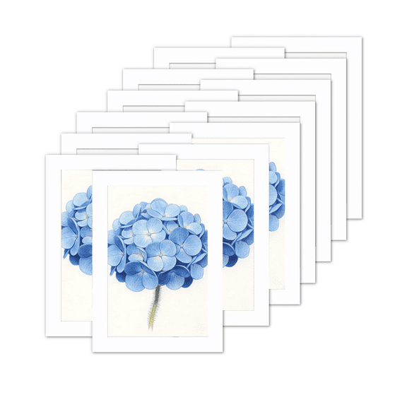 12 Pack 4x6 Magnetic Picture Frames , White