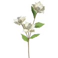 thumbnail image 1 of Vickerman QG163038 Champagne Magnolia X3 Flower, 33 & 4 in., 1 of 1