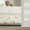 thumbnail image 3 of nuLOOM Marley Traditional Medallion Fringe Beige 2' x 3' Transitional Area Rug, 3 of 9