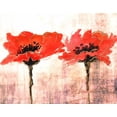 thumbnail image 2 of Herrera, Leticia 24x20 Black Ornate Wood Framed with Double Matting Museum Art Print Titled - Vivid Red Poppies V, 2 of 4