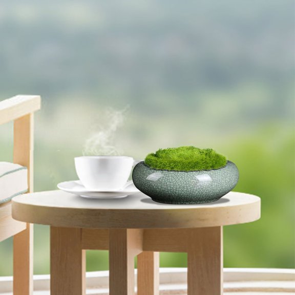 YingYouFu Ceramic Flower Pot, Hydroponic Planter Pot without Holes, Round Large Bowl for Money Grass and , Home Garden Green Decoration, C