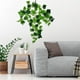 thumbnail image 5 of Artificial Green Wall Hanging Indoor Decoration Green Plastic Wall Hanging Flower Wall Hanging False Green, 5 of 7