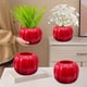 thumbnail image 4 of Maceta de Plástico con Forma de Calabaza | Jarrón Decorativo para Halloween y Acción de Gracias | Resistente y Ligero, En Azul, Rosa, Blanco, Rojo y Amarillo | Maceta para Interior y Exterior con Bas, 4 of 6