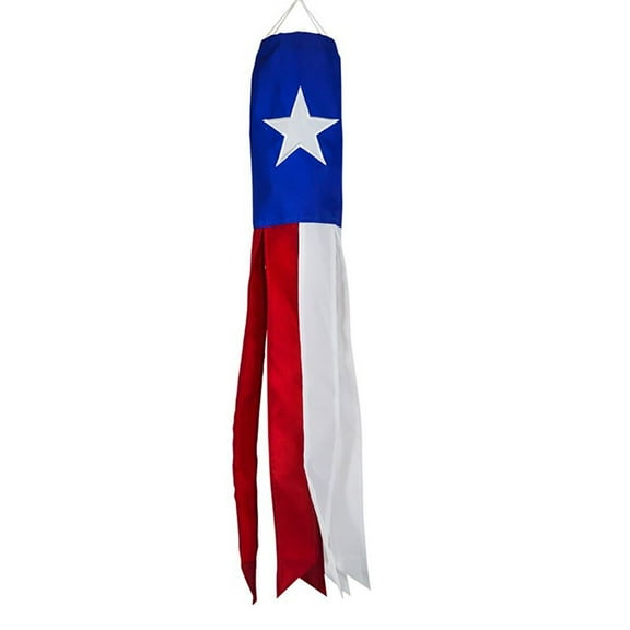 Texas 5.5"x60" Printed Windsock