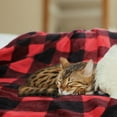 thumbnail image 2 of PiccoCasa Decorative Plaid Flannel Fleece Blanket, Red and Black Pet-30"*40", 2 of 8
