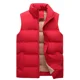 thumbnail image 4 of Chaleco para hombre, moda coreana, abrigo corto con hombros levantados, ropa cálida y de terciopelo sin mangas, novedad de 2024, 4 of 4