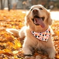 thumbnail image 4 of Fall Dog Bandana Reversible 2 Pack Small, Autumn Orange Pink Pumpkin Floral Leaves Cute Fall Pet Bandanas for Dogs Adjustable Triangle Holiday Scarves for Small Medium Boy Girl Dogs, 4 of 6
