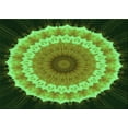 thumbnail image 1 of Ahgly Company Machine Washable Indoor Rectangle Transitional Dark Forest Green Area Rugs, 2' x 3', 1 of 7
