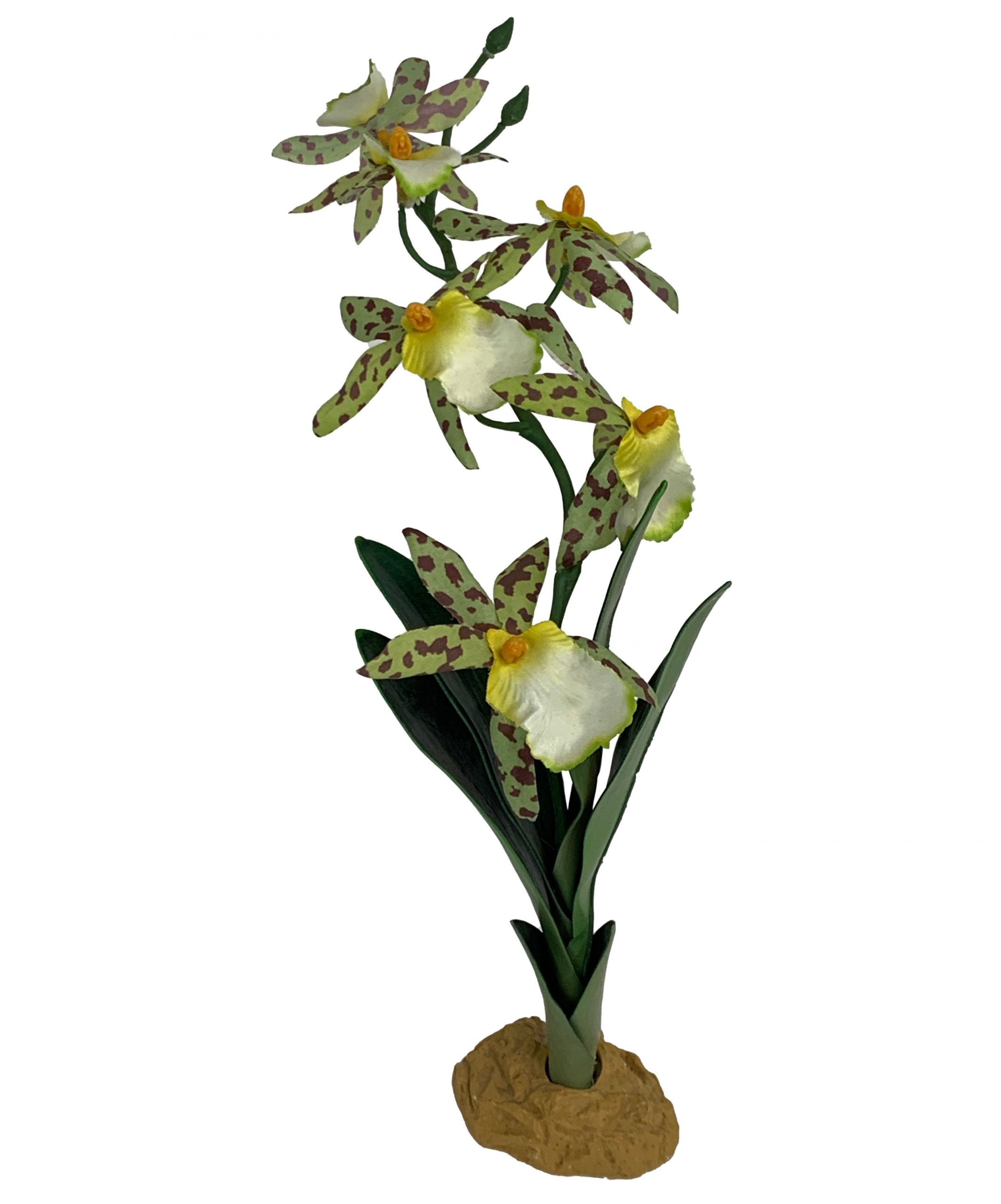 Komodo Orchid Plant with Gravel Base for Aquarium, Reptile or Fish Tank, Silk, 14 inches Tall
