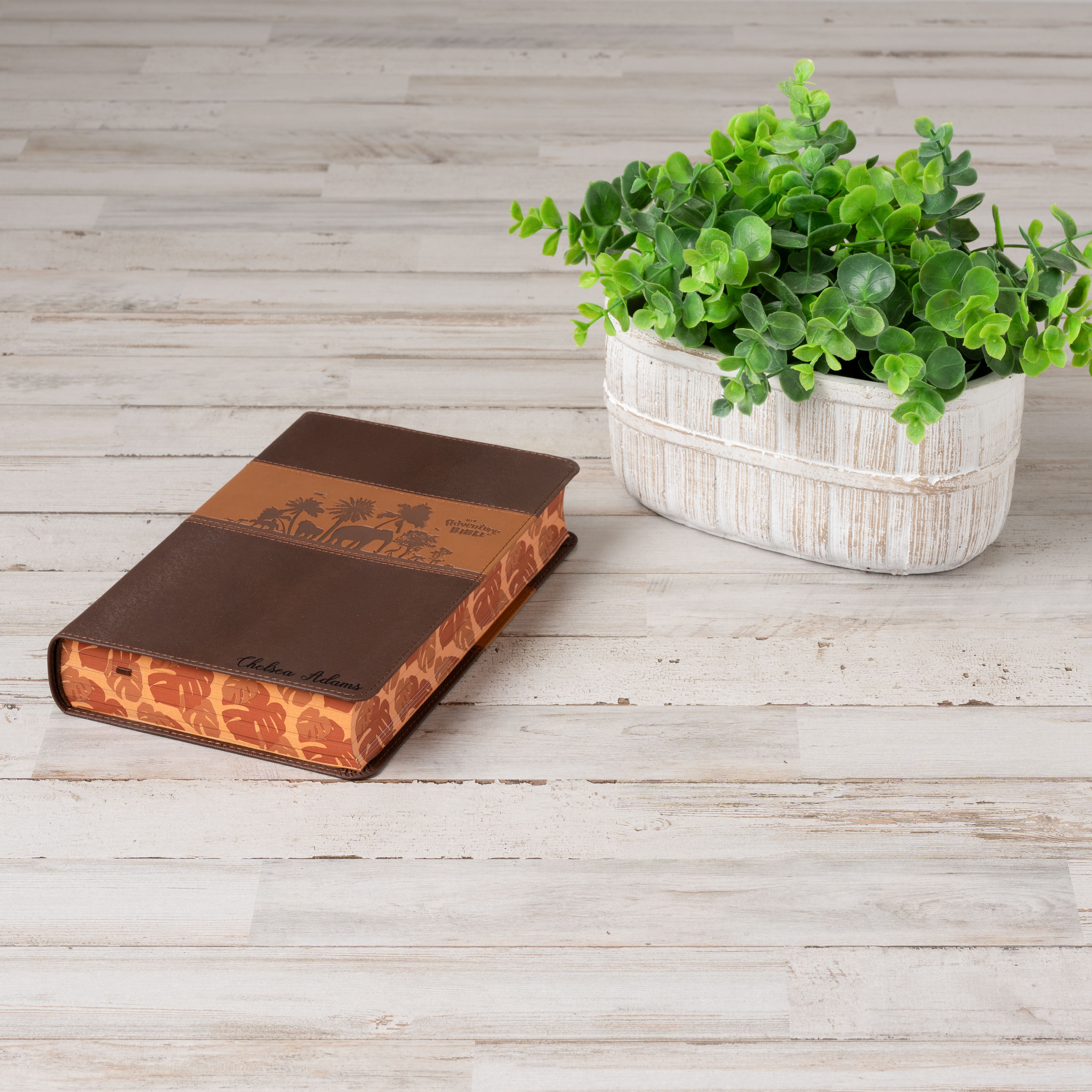 Personalized Adventure Bible for Youth, NIV Youth Bible with Name Engraved, Early Readers Custom Bible, Christian gifts, Baptism gift