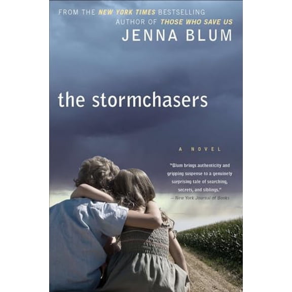 Pre-Owned The Stormchasers, (Paperback)