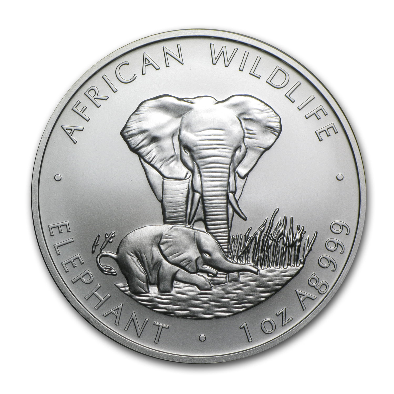 2016 Zambia African Wildlife African Elephant  5000 Kwacha Souvenir Coin 