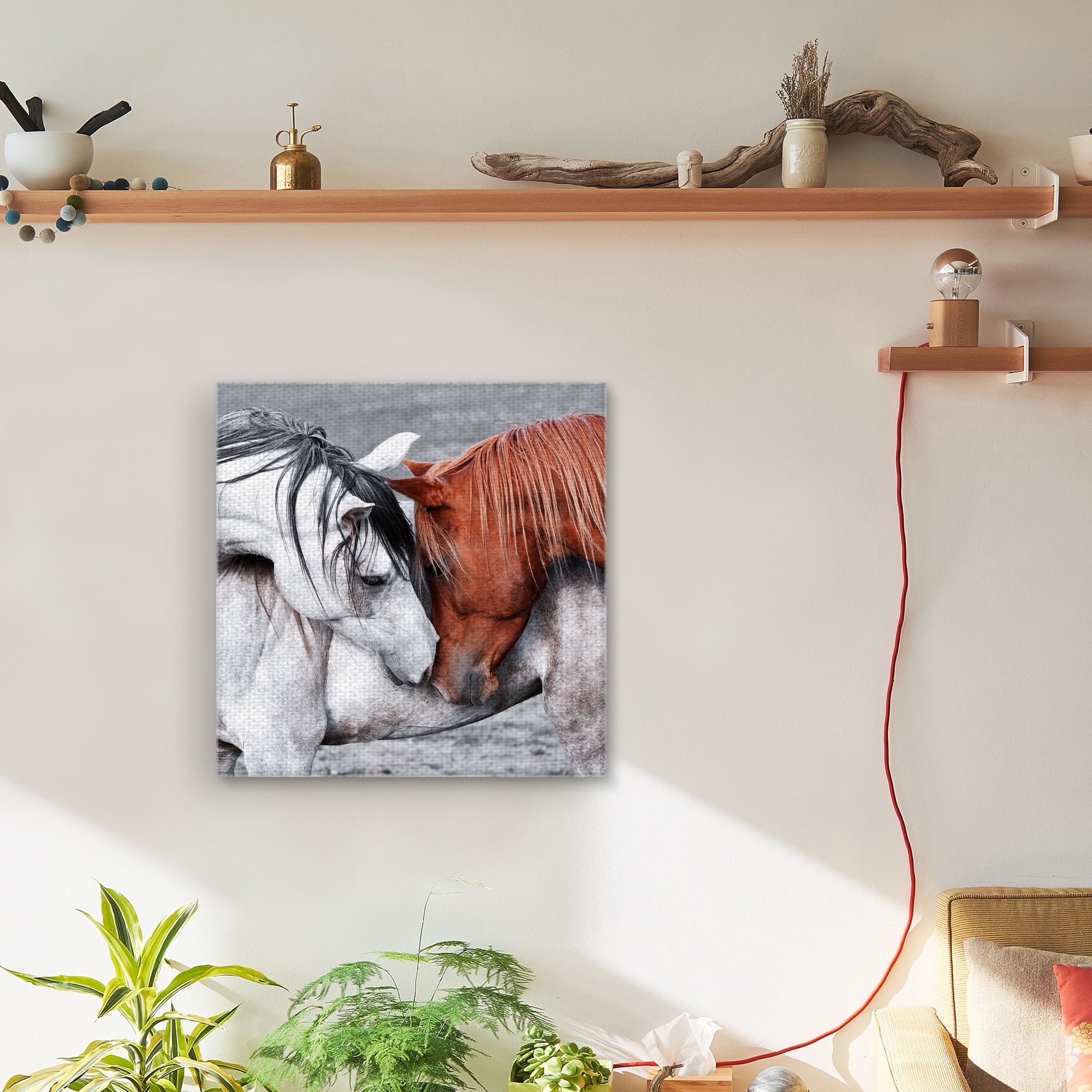 Masterpiece Art Gallery Horse Of A Different Color By Belle Maison Canvas Art Print 24" x 24"