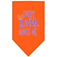 thumbnail image 1 of Everybunny Loves Me Screen Print Bandana Orange Small, 1 of 1