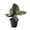 1 Plant, variant on Pinstripe Calathea - 4 Live Starter Plants - Calathea Ornata - Beautiful Easy Care Vining Indoor Houseplant