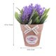 thumbnail image 5 of pieza de planta artificial de simulación de bonsái, planta de albahaca falsa, decoración de escritorio para el hogar, oficina y armario (morado)., 5 of 8