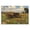 Wildflower Wagon Meadow Landscape, variant on Stupell Industries Farmhouse Repurposed Truck Filled with Flowers Black Floating Frame Canvas Art, 25 x 17, by Franklyn Gregory