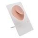 thumbnail image 4 of Modelo de parte de lengua de silicona, Modelo de lengua de silicona Modelo de lengua de silicona suave Modelo de lengua de silicona construido para el futuro, 4 of 8