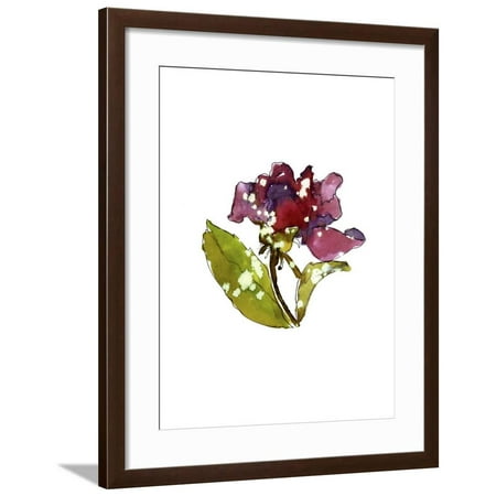 - Marsala Rose Framed Print Wall Art By Cayena Blanca