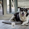 thumbnail image 2 of Recipiente hermético para comida de perro con tapa para encimera de cocina, tarro metálico para golosinas, contenedor de hierro para comida seca de cachorros para dueños de mascotas, 2 of 7