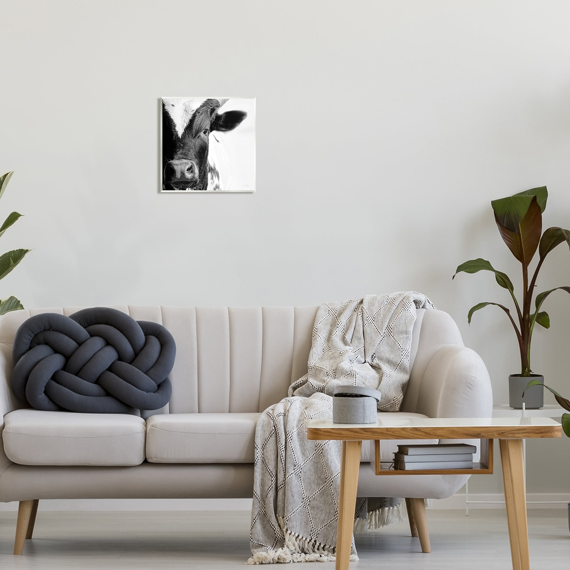 Stupell Industries Rural Farm Cow Stunning Up Close Photography Photograph Unframed Art Print Wall Art, Design by Jennifer Pugh
