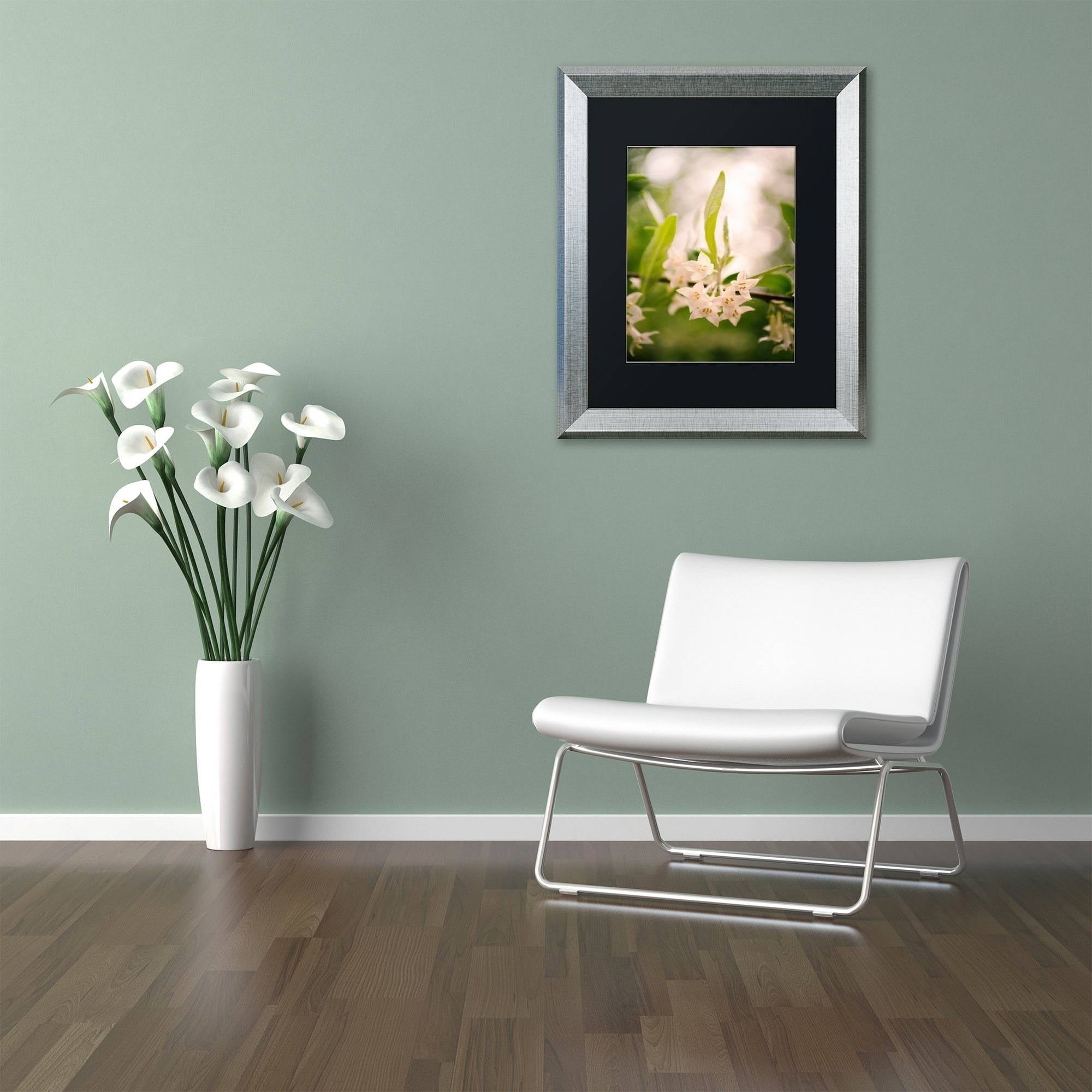 Trademark Fine Art 'Floral Tranquility' Canvas Art by PIPA Fine Art, Black Matte, Silver Frame