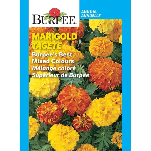 Burpee Burpee's Best Mixed Colours Marigold, Plant Seeds for Home Garden